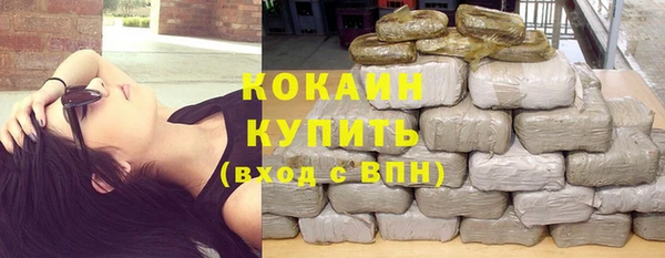 тгк Абаза