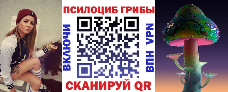 купить  цена  Калач  Псилоцибиновые грибы мухоморы 